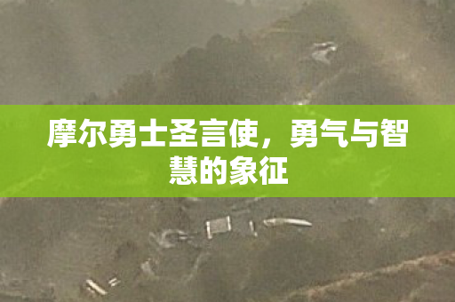 摩尔勇士圣言使,勇气与智慧的象征 摩尔勇士圣言使,勇气与智慧的象征