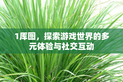 1厍图，探索游戏世界的多元体验与社交互动