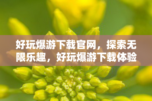 好玩爆游下载官网，探索无限乐趣，好玩爆游下载体验分享