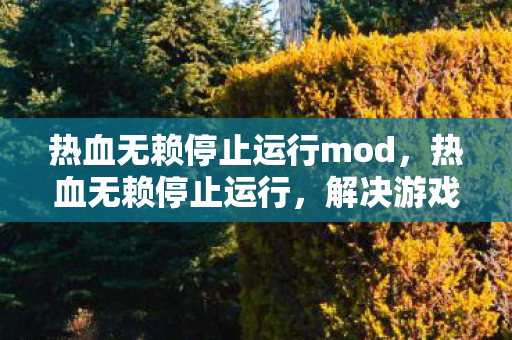 热血无赖停止运行mod，热血无赖停止运行，解决游戏崩溃的实用方法