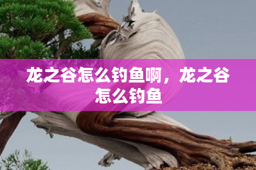 龙之谷怎么钓鱼啊，龙之谷怎么钓鱼