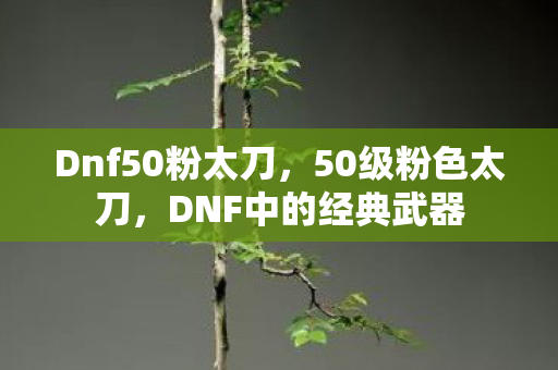 Dnf50粉太刀，50级粉色太刀，DNF中的经典武器