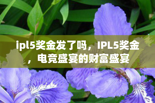 ipl5奖金发了吗，IPL5奖金，电竞盛宴的财富盛宴