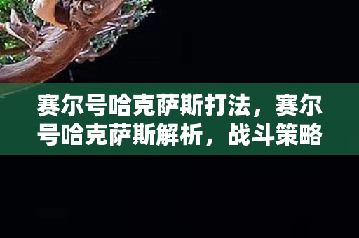 赛尔号哈克萨斯打法，赛尔号哈克萨斯解析，战斗策略与技能深度剖析