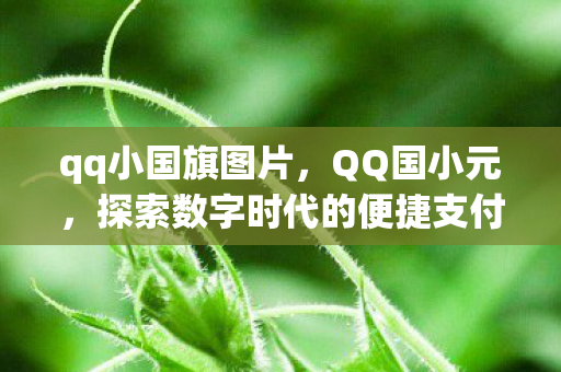 qq小国旗图片，QQ国小元，探索数字时代的便捷支付新体验