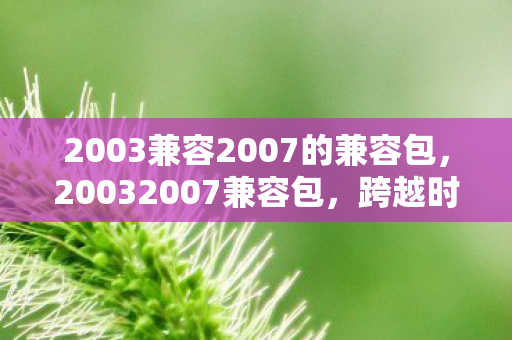 2003兼容2007的兼容包，20032007兼容包，跨越时代的经典之作