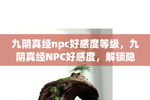 九阴真经npc好感度等级，九阴真经NPC好感度，解锁隐藏剧情与特殊奖励的秘籍