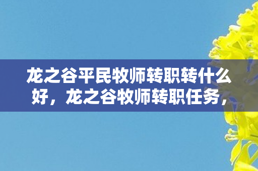 龙之谷平民牧师转职转什么好，龙之谷牧师转职任务，探索神圣之路的奥秘