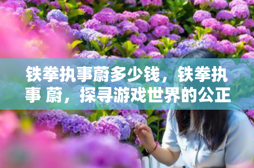 铁拳执事蔚多少钱，铁拳执事 蔚，探寻游戏世界的公正守护者