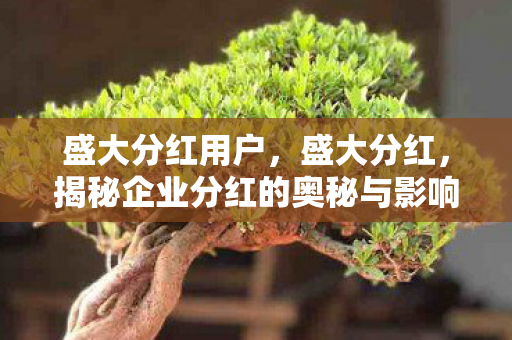 盛大分红用户，盛大分红，揭秘企业分红的奥秘与影响