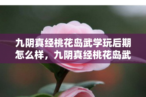 九阴真经桃花岛武学玩后期怎么样，九阴真经桃花岛武学，探寻武侠世界的奥秘