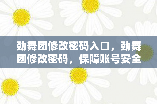 劲舞团修改密码入口，劲舞团修改密码，保障账号安全，享受无忧游戏