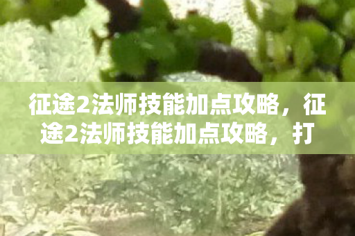征途2法师技能加点攻略，征途2法师技能加点攻略，打造高效战斗法师