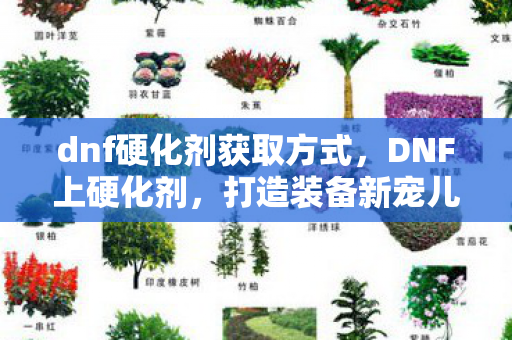 dnf硬化剂获取方式,DNF上硬化剂,打造装备新宠儿 dnf硬化剂获取方式,DNF上硬化剂,打造装备新宠儿