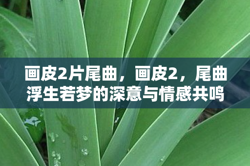 画皮2片尾曲，画皮2，尾曲浮生若梦的深意与情感共鸣