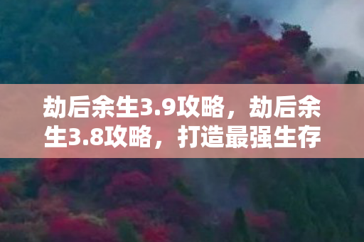 劫后余生3.9攻略，劫后余生3.8攻略，打造最强生存策略