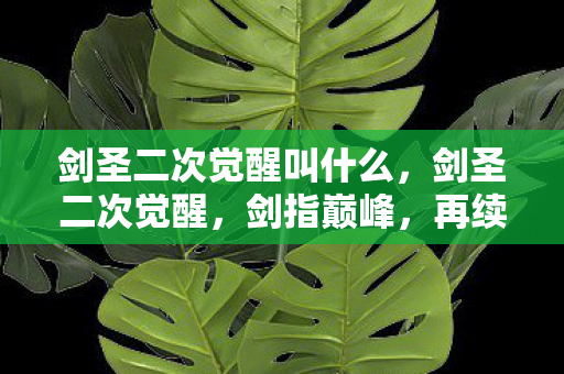 剑圣二次觉醒叫什么,剑圣二次觉醒,剑指巅峰,再续传奇 剑圣二次觉醒叫什么,剑圣二次觉醒,剑指巅峰,再续传奇