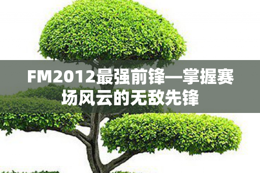FM2012最强前锋—掌握赛场风云的无敌先锋 FM2012最强前锋—掌握赛场风云的无敌先锋