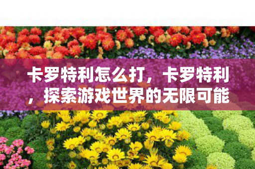 卡罗特利怎么打，卡罗特利，探索游戏世界的无限可能
