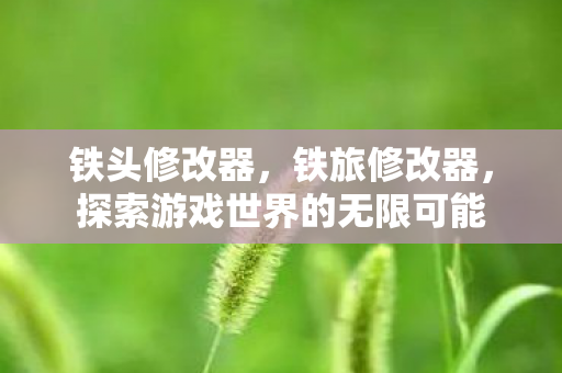 铁头修改器，铁旅修改器，探索游戏世界的无限可能