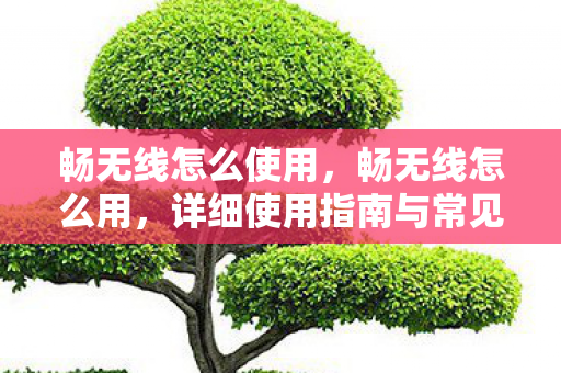 畅无线怎么使用，畅无线怎么用，详细使用指南与常见问题解答