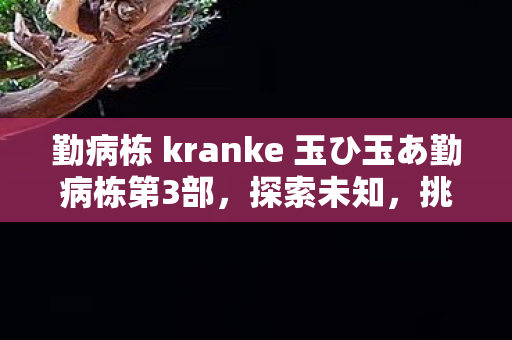 勤病栋 kranke 玉ひ玉あ勤病栋第3部，探索未知，挑战自我