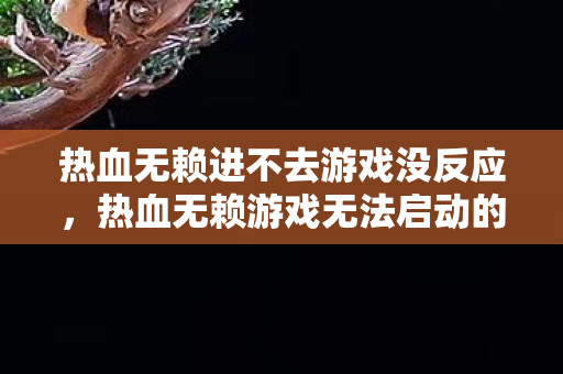 热血无赖进不去游戏没反应，热血无赖游戏无法启动的解决指南