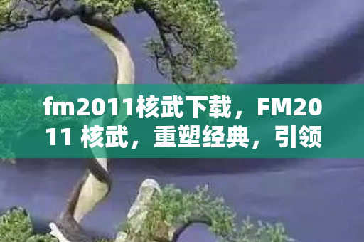 fm2011核武下载，FM2011 核武，重塑经典，引领策略游戏新风尚