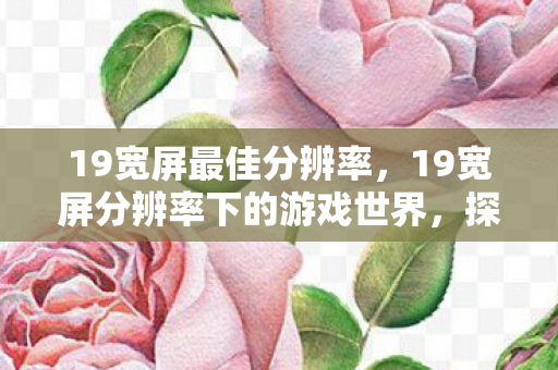 19宽屏最佳分辨率，19宽屏分辨率下的游戏世界，探索视觉与体验的完美融合