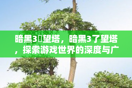 暗黑3瞭望塔，暗黑3了望塔，探索游戏世界的深度与广度