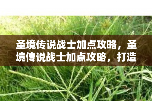 圣境传说战士加点攻略，圣境传说战士加点攻略，打造最强战士的加点指南