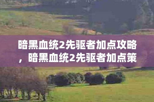 暗黑血统2先驱者加点攻略，暗黑血统2先驱者加点策略