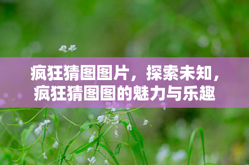 疯狂猜图图片,探索未知,疯狂猜图图的魅力与乐趣 疯狂猜图图片,探索未知,疯狂猜图图的魅力与乐趣