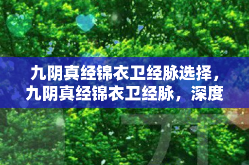 九阴真经锦衣卫经脉选择,九阴真经锦衣卫经脉,深度解析与提升策略 九阴真经锦衣卫经脉选择,九阴真经锦衣卫经脉,深度解析与提升策略
