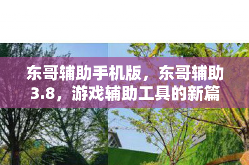 东哥辅助手机版,东哥辅助3.8,游戏辅助工具的新篇章 东哥辅助手机版,东哥辅助3.8,游戏辅助工具的新篇章