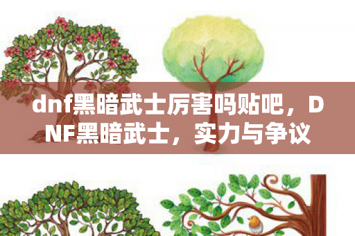 dnf黑暗武士厉害吗贴吧，DNF黑暗武士，实力与争议并存的神秘存在
