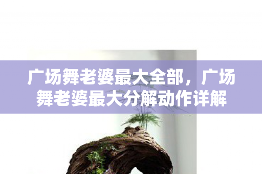 广场舞老婆最大全部,广场舞老婆最大分解动作详解 广场舞老婆最大全部,广场舞老婆最大分解动作详解