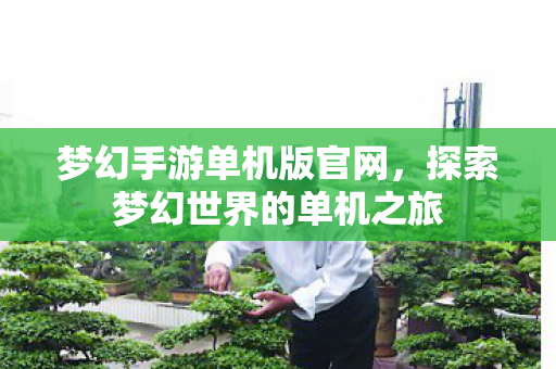 梦幻手游单机版官网,探索梦幻世界的单机之旅 梦幻手游单机版官网,探索梦幻世界的单机之旅
