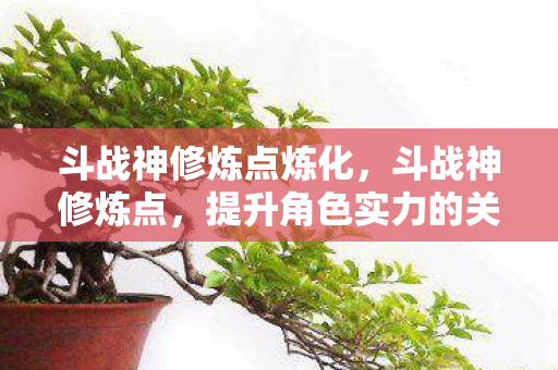 斗战神修炼点炼化，斗战神修炼点，提升角色实力的关键