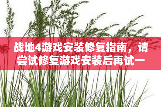 战地4游戏安装修复指南,请尝试修复游戏安装后再试一次 战地4游戏安装修复指南,请尝试修复游戏安装后再试一次