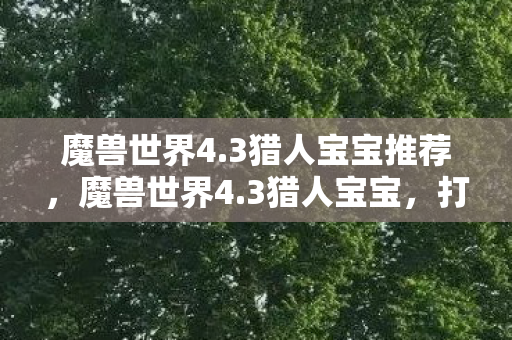 魔兽世界4.3猎人宝宝推荐，魔兽世界4.3猎人宝宝，打造你的专属战斗伙伴