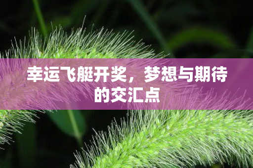 幸运飞艇开奖,梦想与期待的交汇点 幸运飞艇开奖,梦想与期待的交汇点