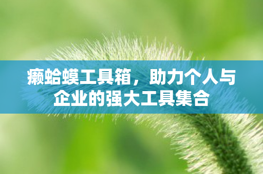癞蛤蟆工具箱,助力个人与企业的强大工具集合 癞蛤蟆工具箱,助力个人与企业的强大工具集合