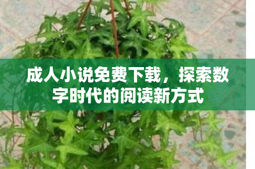 成人小说免费下载,探索数字时代的阅读新方式 成人小说免费下载,探索数字时代的阅读新方式
