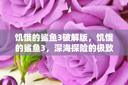 饥饿的鲨鱼3破解版，饥饿的鲨鱼3，深海探险的极致体验
