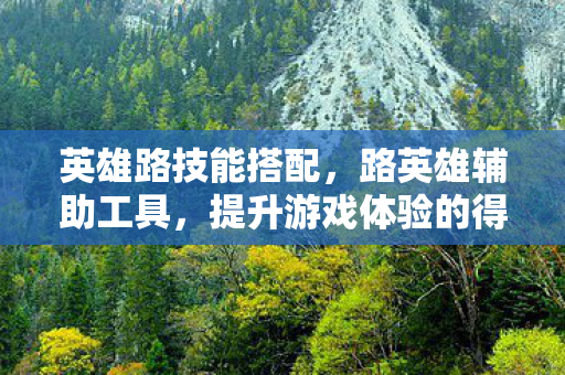 英雄路技能搭配，路英雄辅助工具，提升游戏体验的得力助手