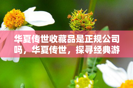 华夏传世收藏品是正规公司吗，华夏传世，探寻经典游戏的魅力与传承