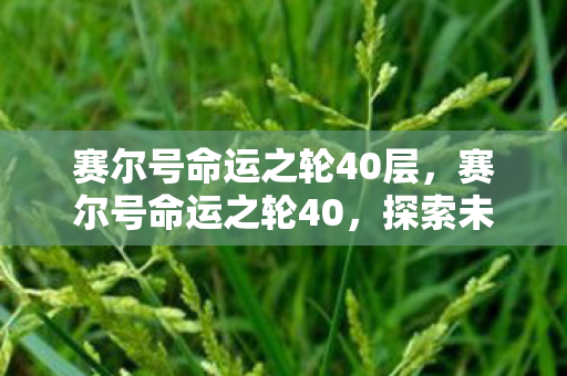 赛尔号命运之轮40层，赛尔号命运之轮40，探索未知，挑战极限