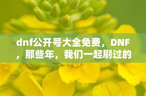 dnf公开号大全免费，DNF，那些年，我们一起刷过的副本