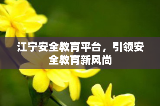 江宁安全教育平台,引领安全教育新风尚 江宁安全教育平台,引领安全教育新风尚